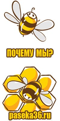 Цветочно падевый мед